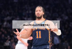 nba小牛(nba小牛是哪个队)