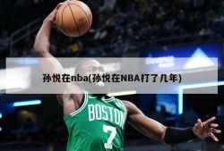 孙悦在nba(孙悦在NBA打了几年)