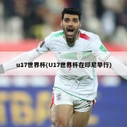 u17世界杯(U17世界杯在印尼举行)